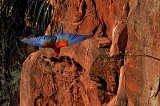 Buraco das Araras